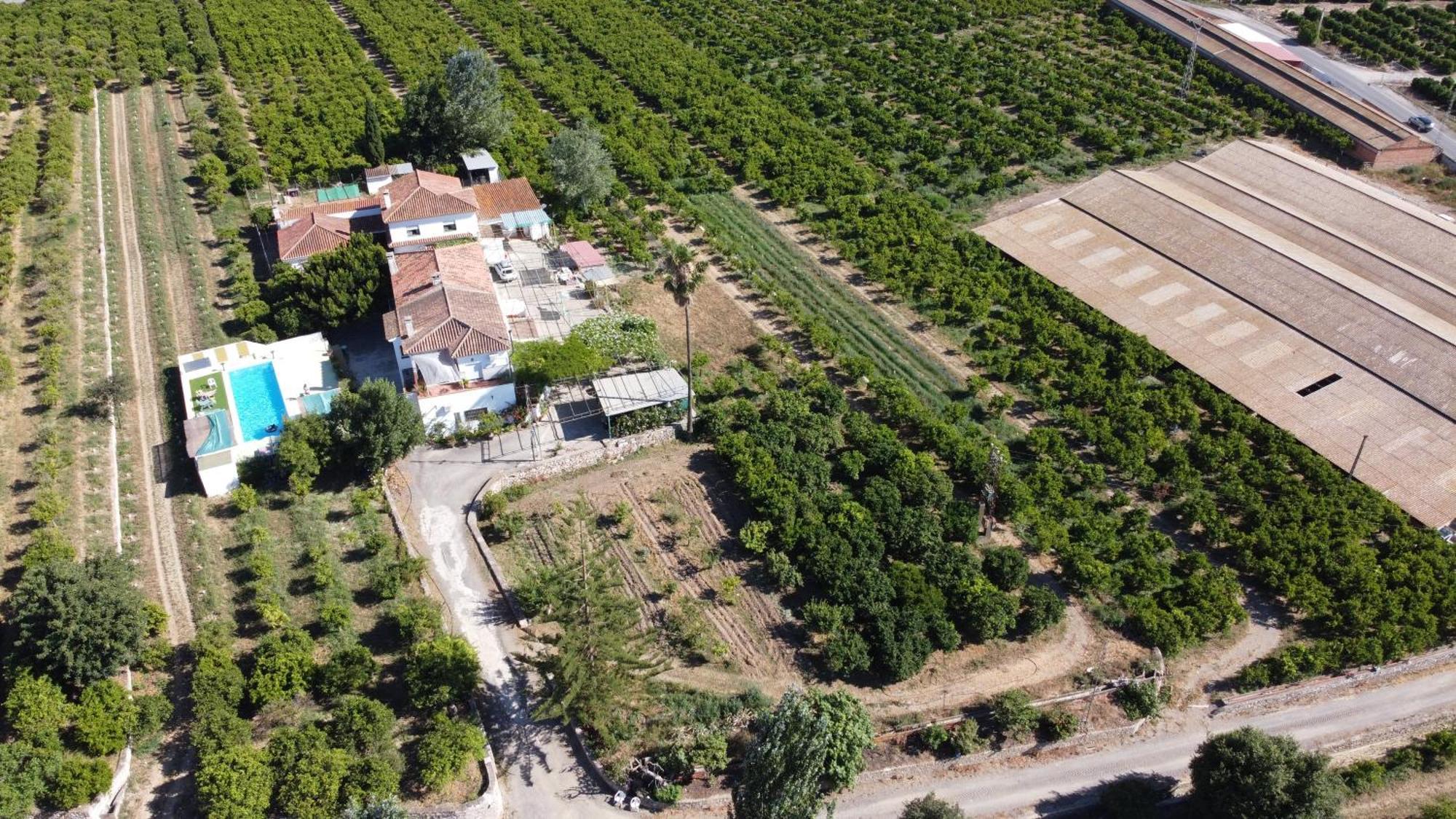 Вілла Complejo Rural Lo Arrabal Малага Екстер'єр фото